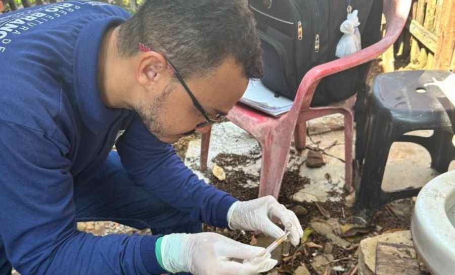 Prefeitura de Rio Branco pede que população redobre cuidados na limpeza de quintais para evitar mosquito da Dengue